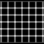 Wieviele schwarze Punkte ?