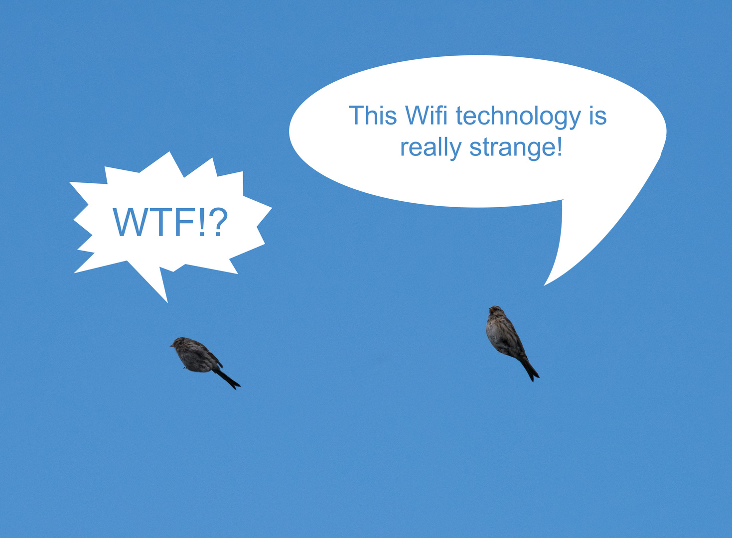 Wifitechnology (Birds)