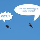 Wifitechnology (Birds)