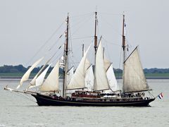 Wihlemshaven Sailing-Cup 2025