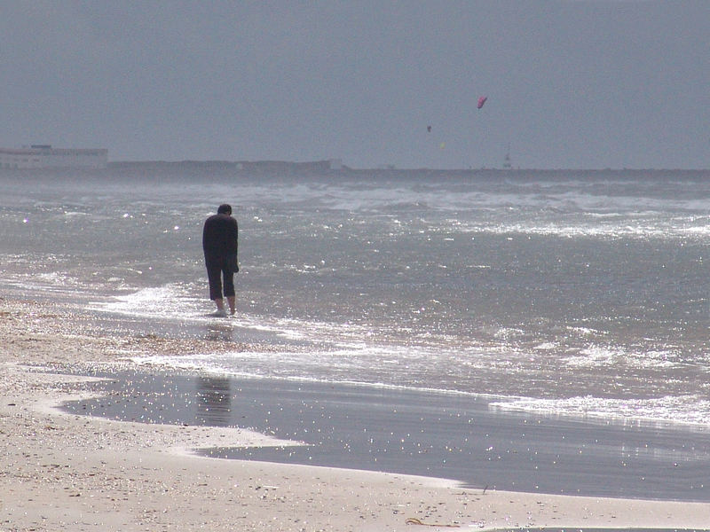 Wijk aan Zee, Holland 2006 Silbernen Landschft