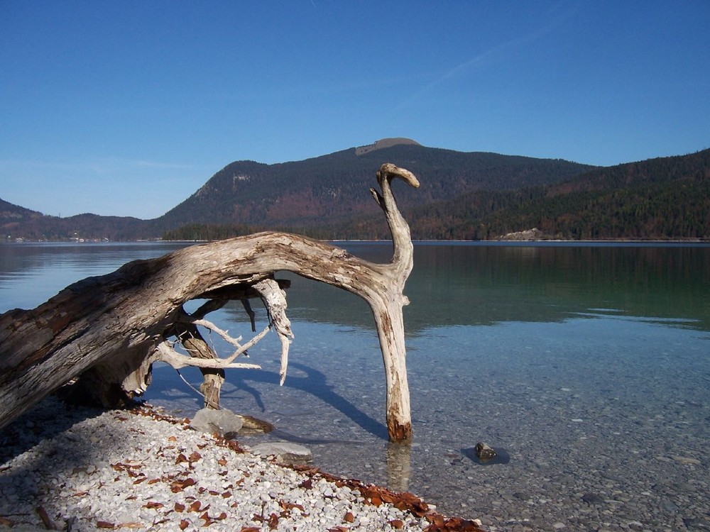 Wikinger am Walchensee