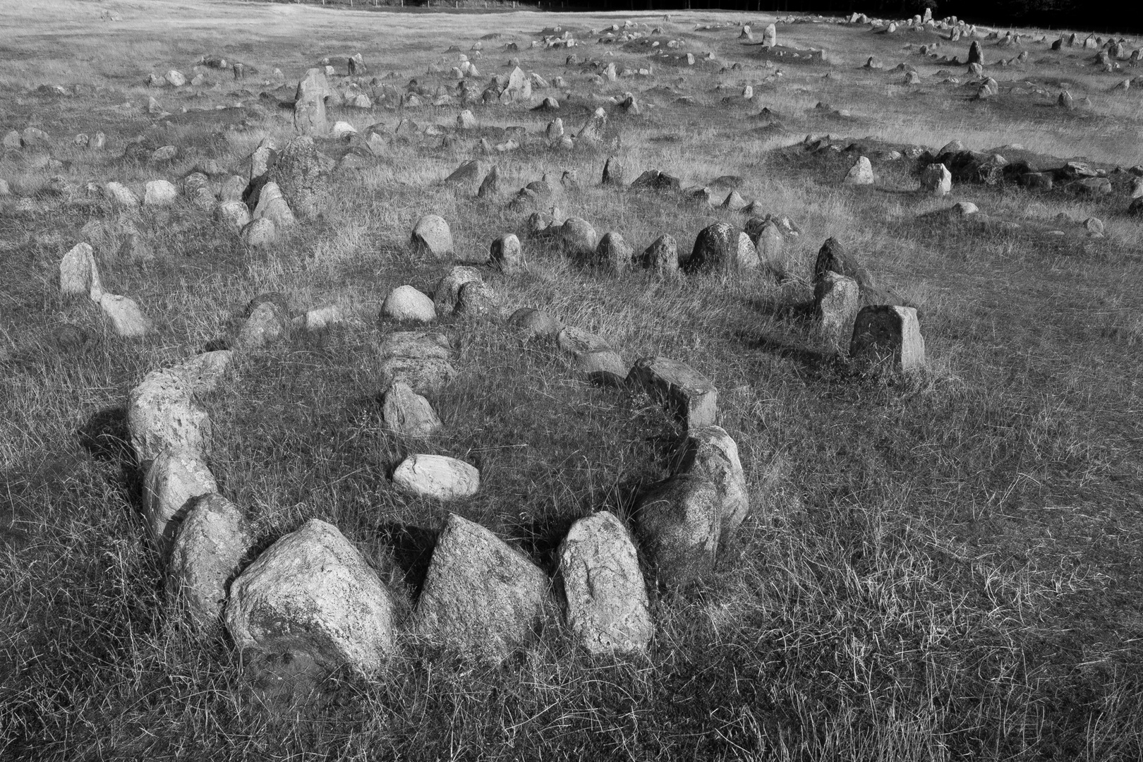 Wikinger Friedhof