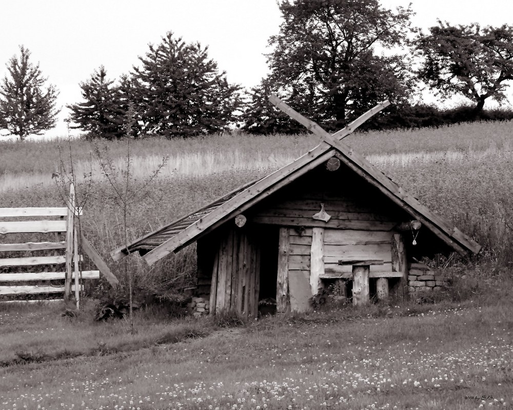 Wikingerhütte