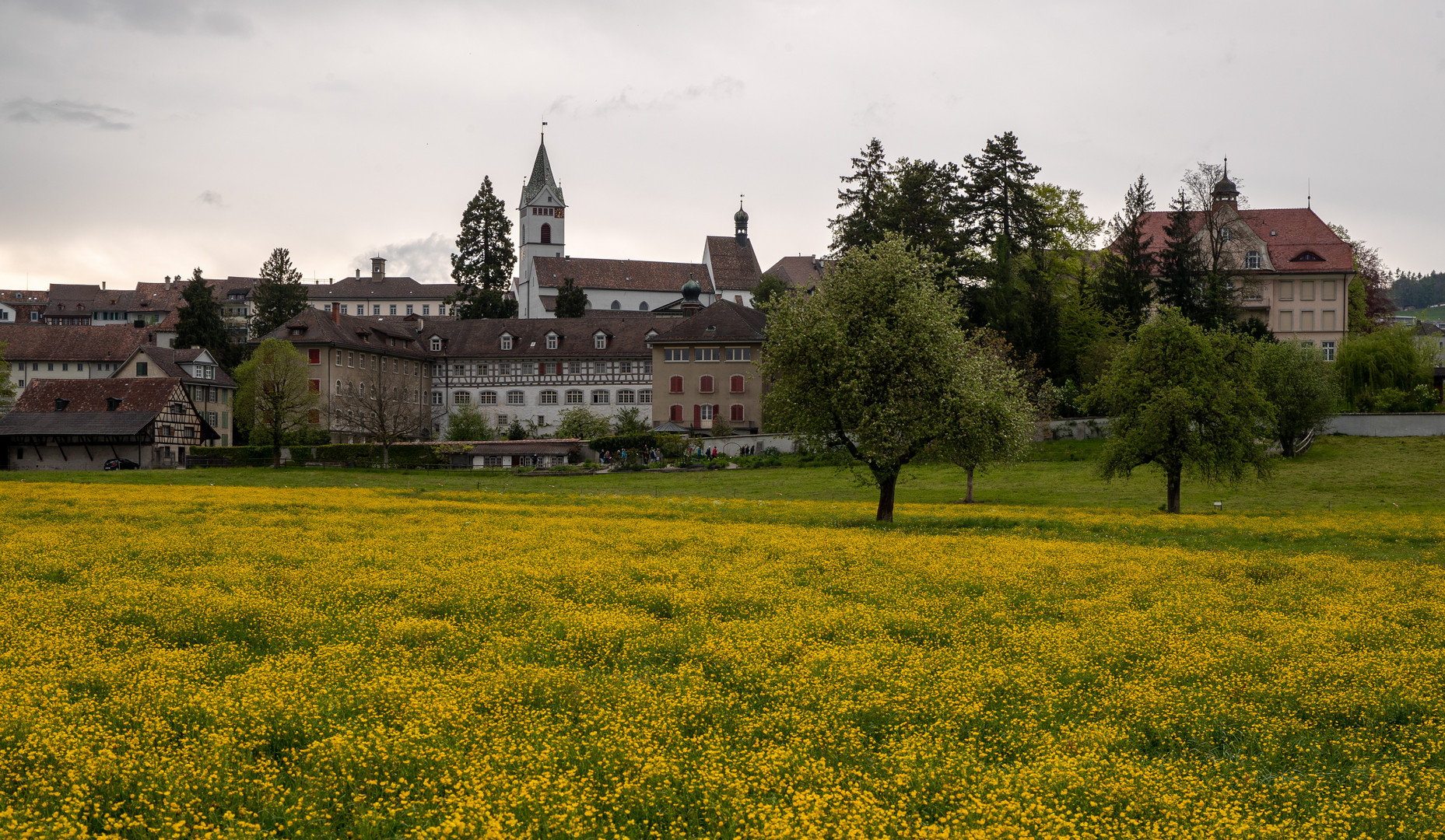 Wil, St. Gallen Foto & Bild europe, schweiz & liechtenstein