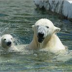 Wilbär und Mama Corinna