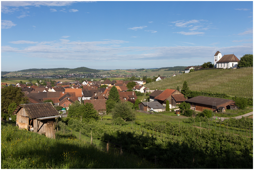 Wilchingen