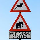 Wild Animal Crossing