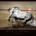 WILD at HEART