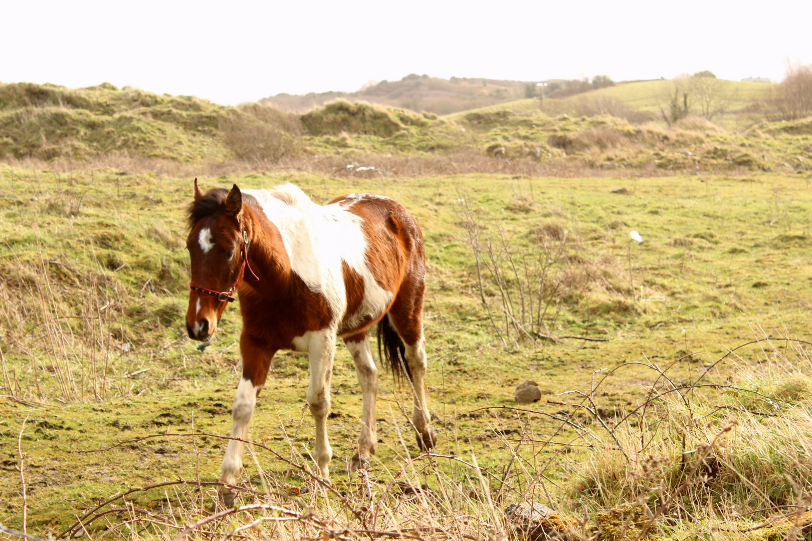 Wild Atlantik Way Irland 5