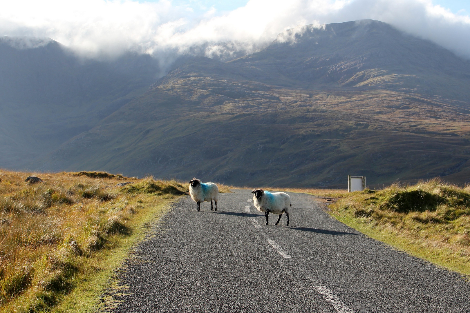 Wild Atlantik Way - Irland