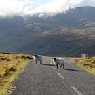 Wild Atlantik Way - Irland