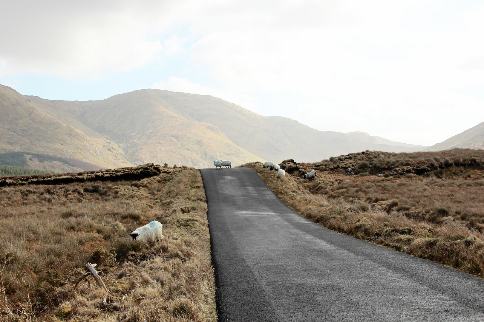 Wild Atlantik Way Irland