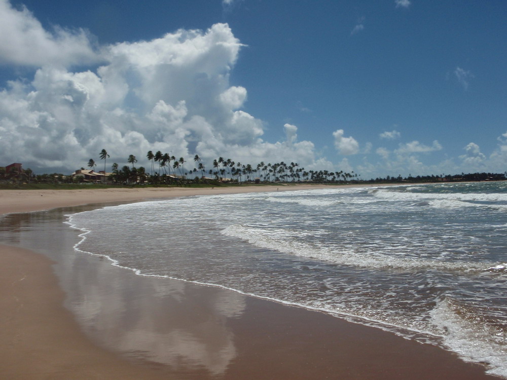 WILD BEACH