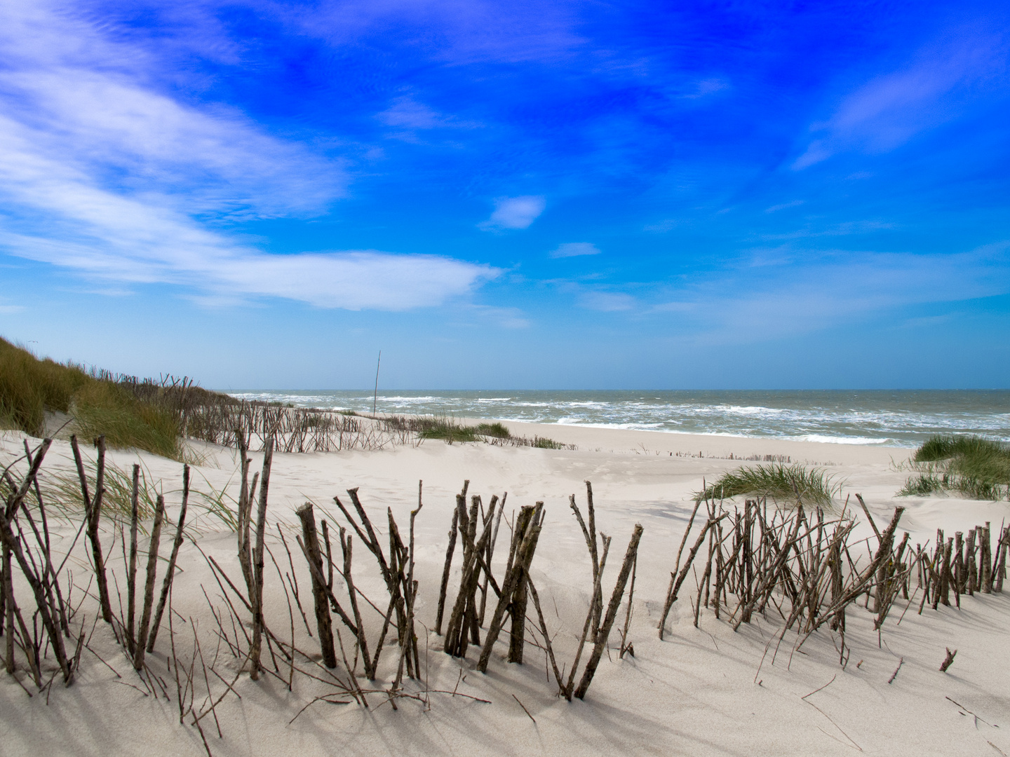 Wild Beach