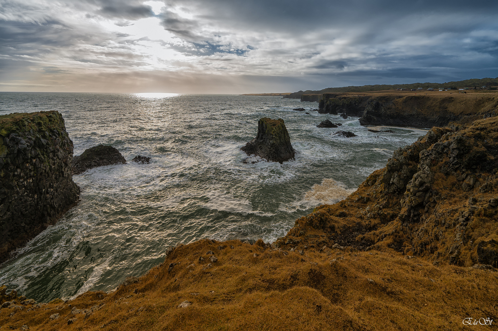 WILD COAST ICELAND 