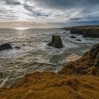 WILD COAST ICELAND 