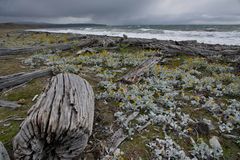 Wild Coast Tierro del Fuego