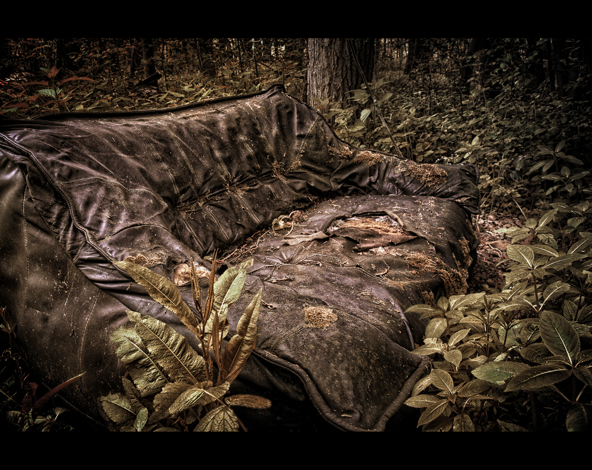 Wild Couch