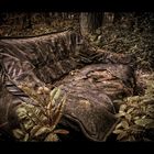 Wild Couch