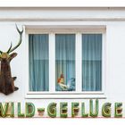 Wild & Geflügel