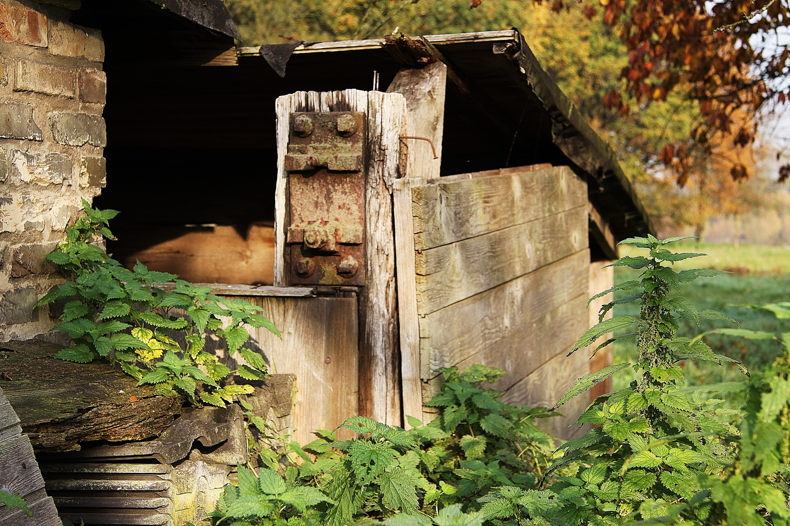 Wild gezimmerte Hütte