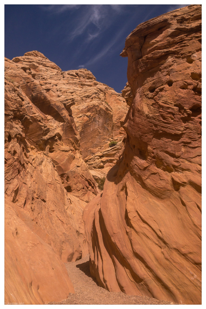 [wild horse canyon I utah]