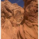 [wild horse canyon I utah]