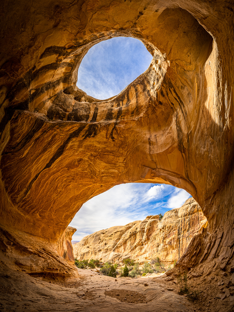 Wild Horse Window