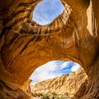 Wild Horse Window