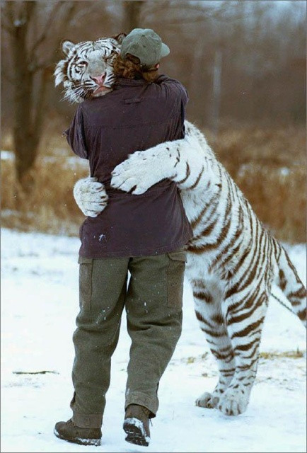 Wild HUG ;-)