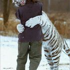 Wild HUG ;-)