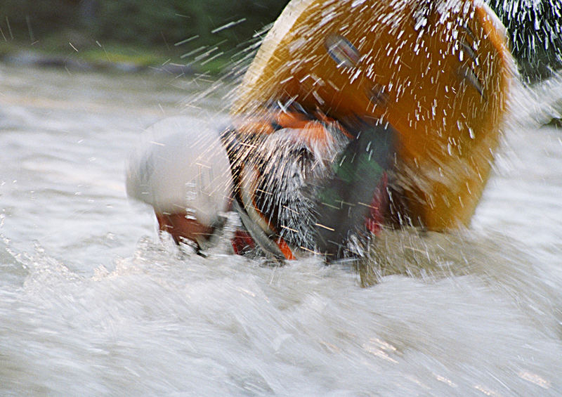 wild im wasser