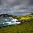 Wild Ireland