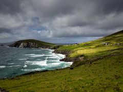 Wild Ireland