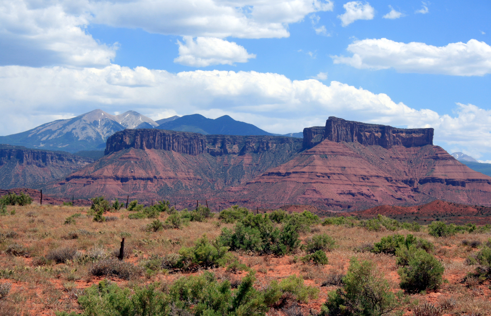 Wild Mountains