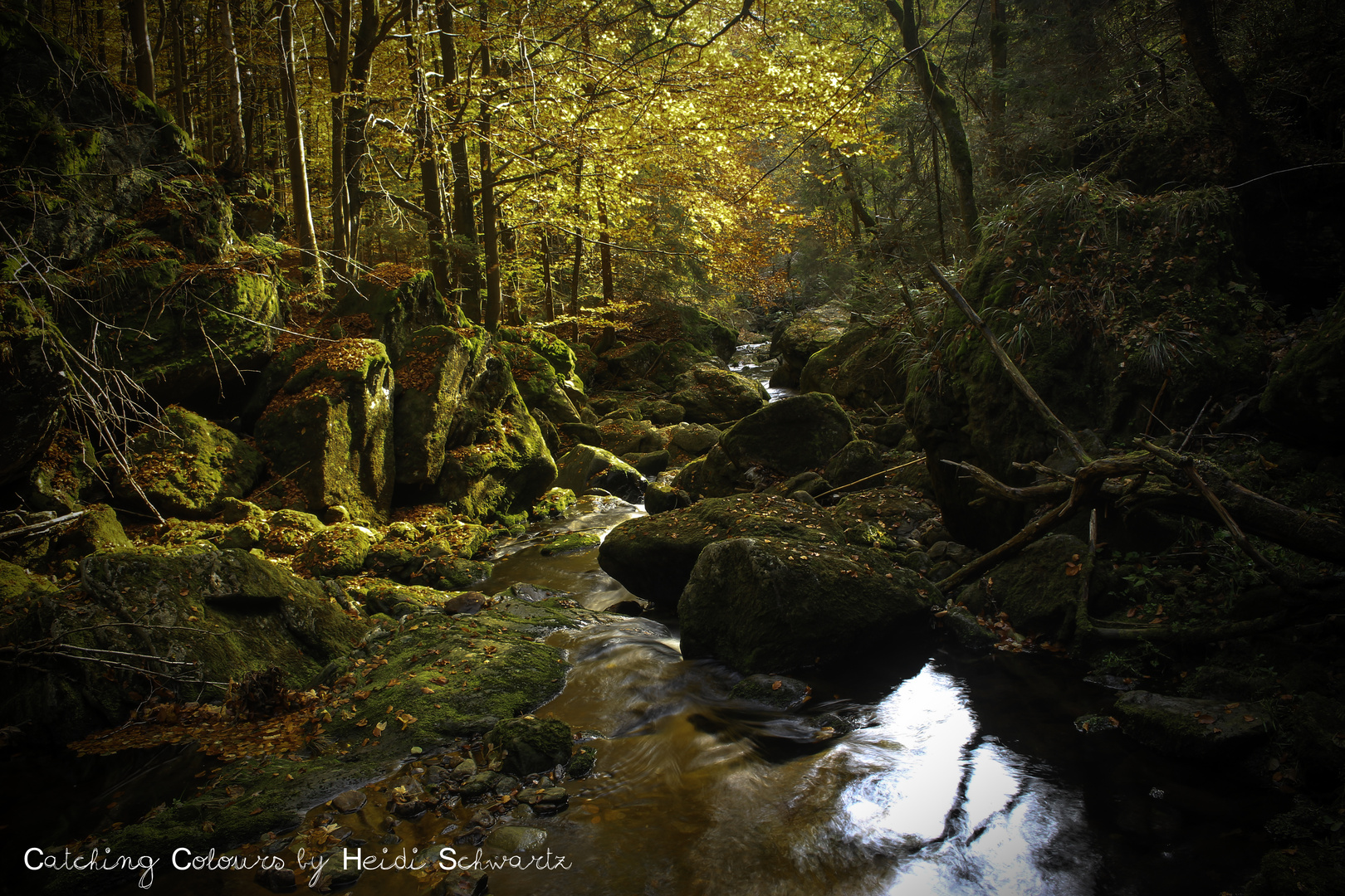 Wild Nature Autumn