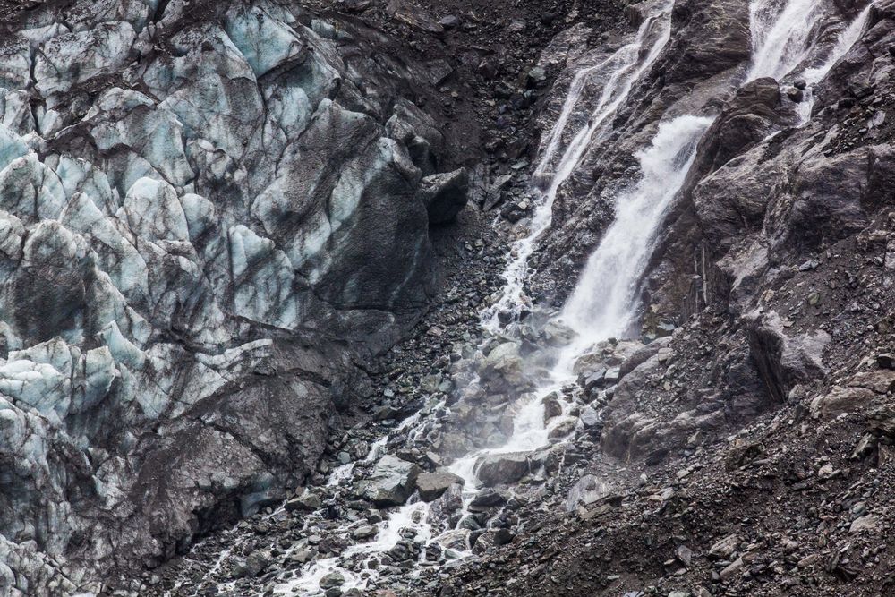 Wild Nature " Fox Glacier"