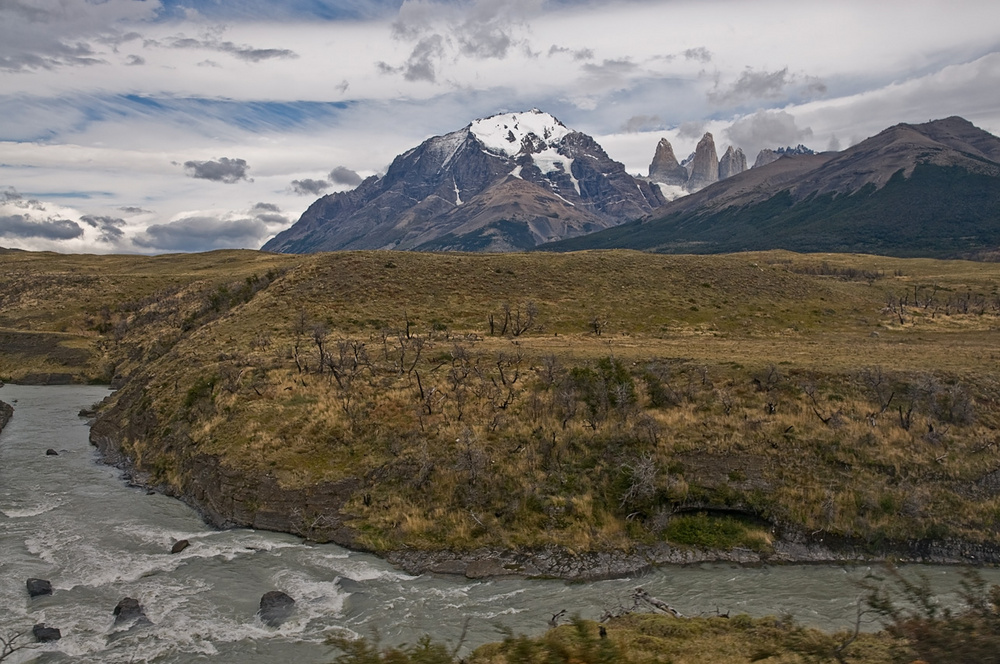 Wild Nature - Torres del Paine NP