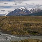 Wild Nature - Torres del Paine NP