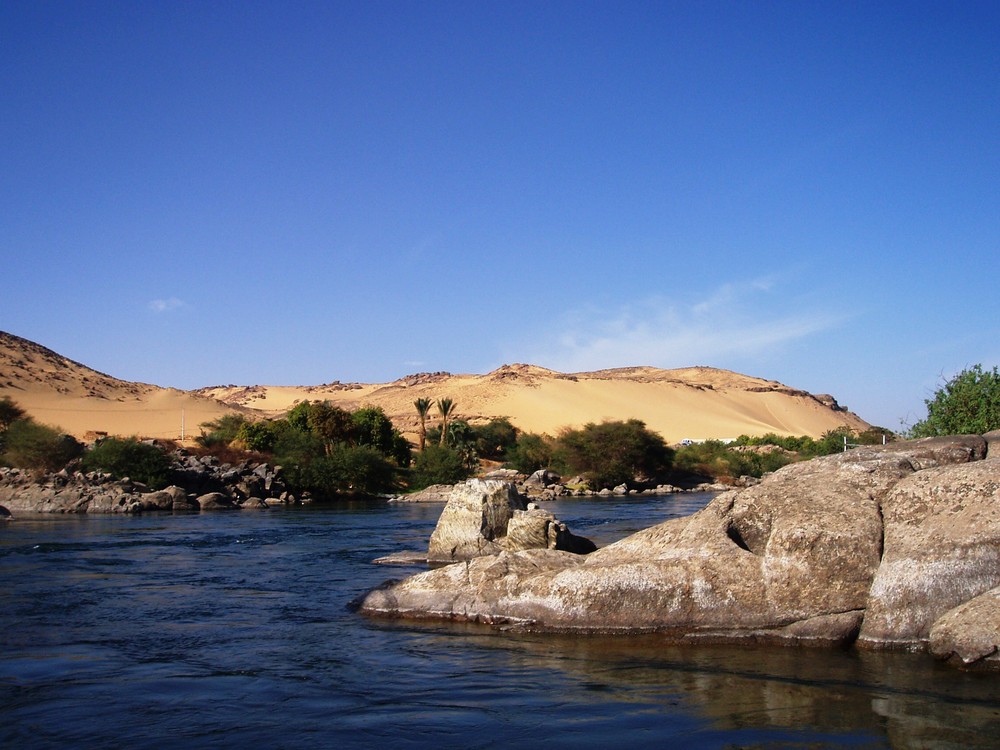 wild Nile