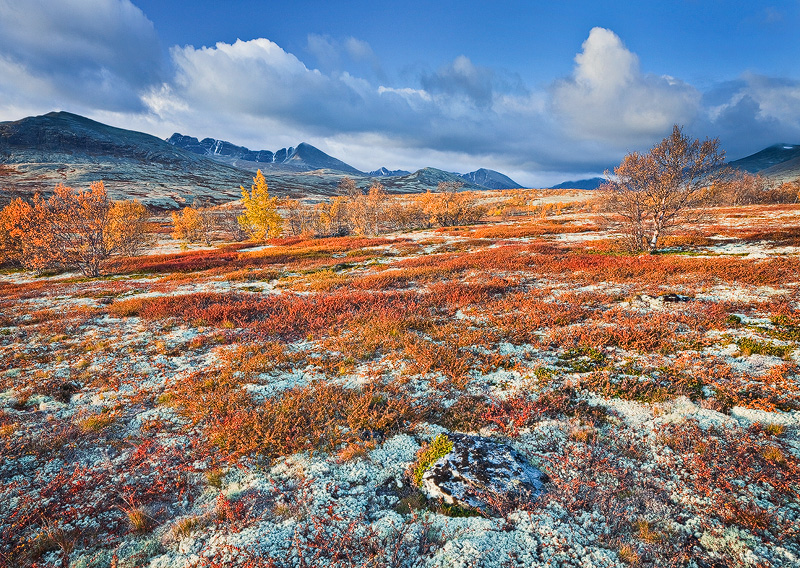 Wild Norway von Silent Moment 