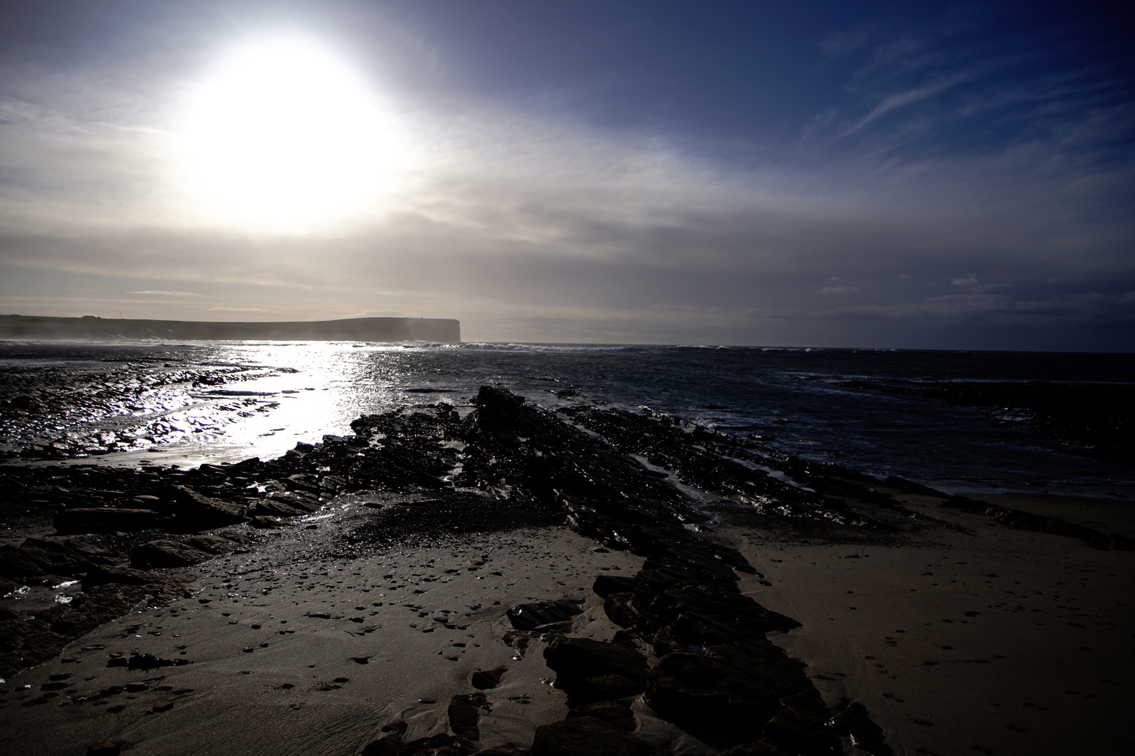 wild Orkneys in the winter