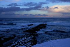 wild Orkneys in the winter