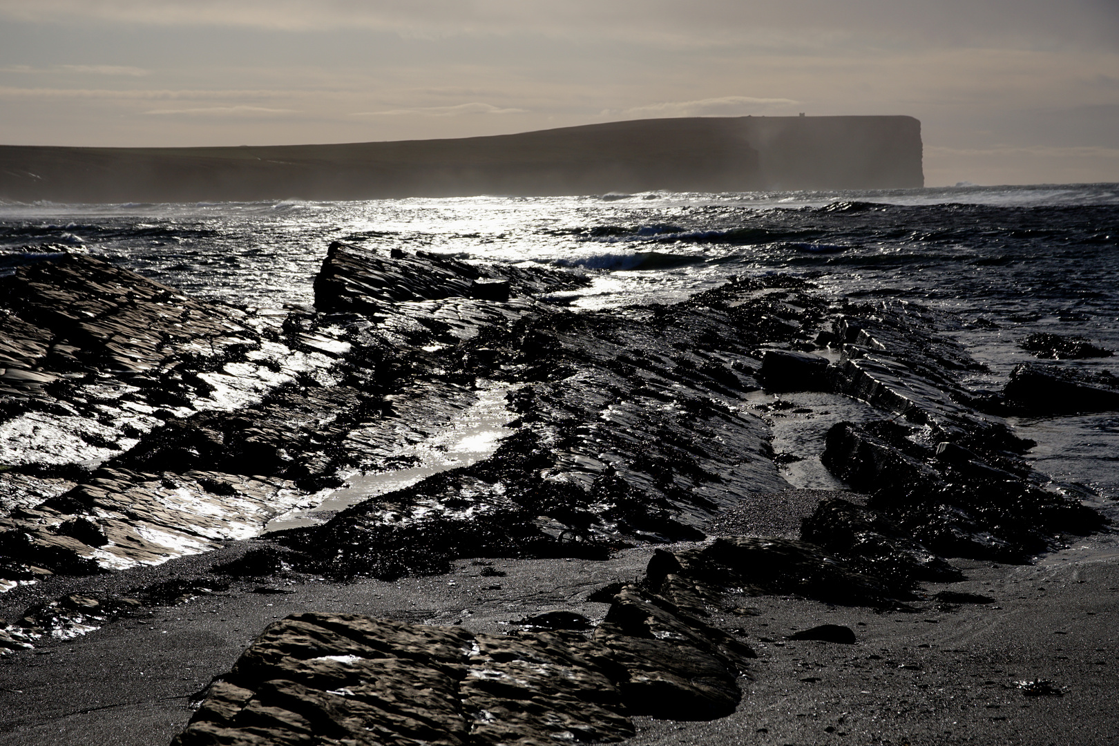 wild Orkneys in the winter