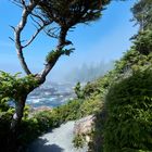 Wild Pacific Trail