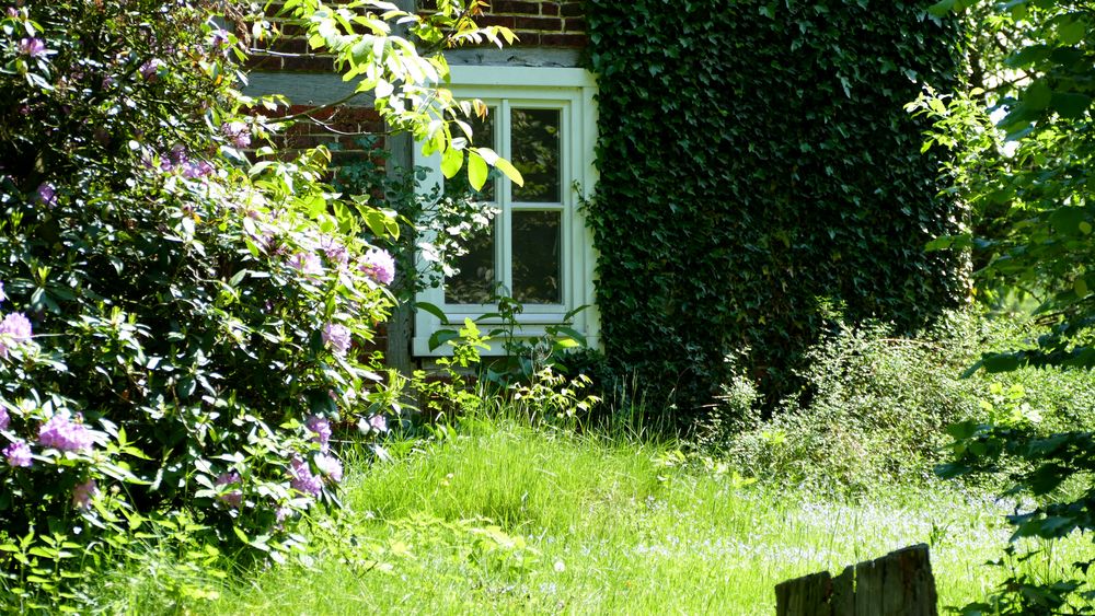 wild romantisch Foto & Bild architektur, landschaft