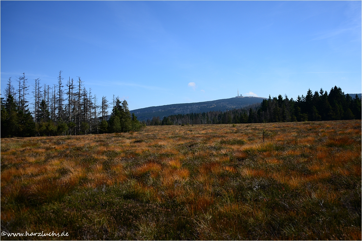 wild, romantisch und faszinierend - der Harz