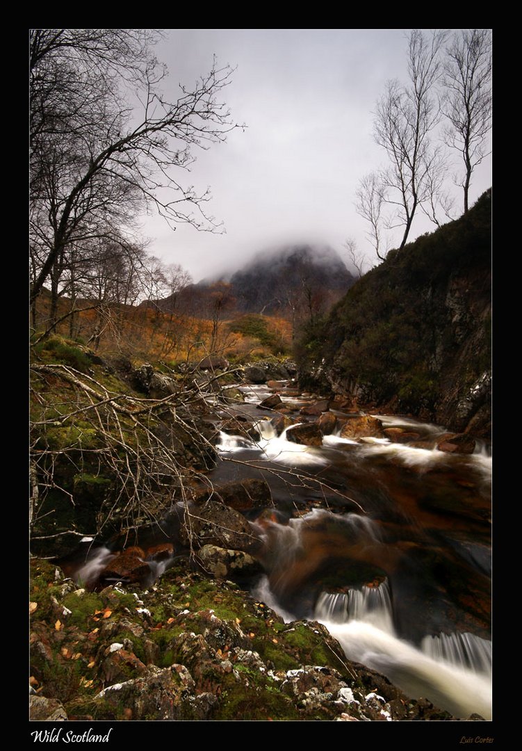 Wild Scotland