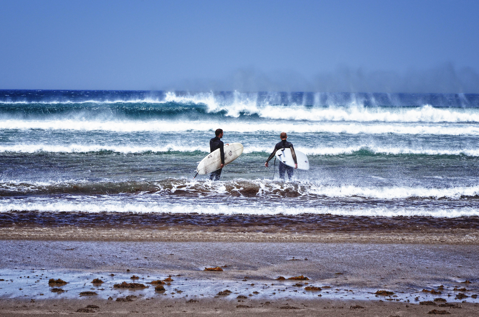 Wild Sea...